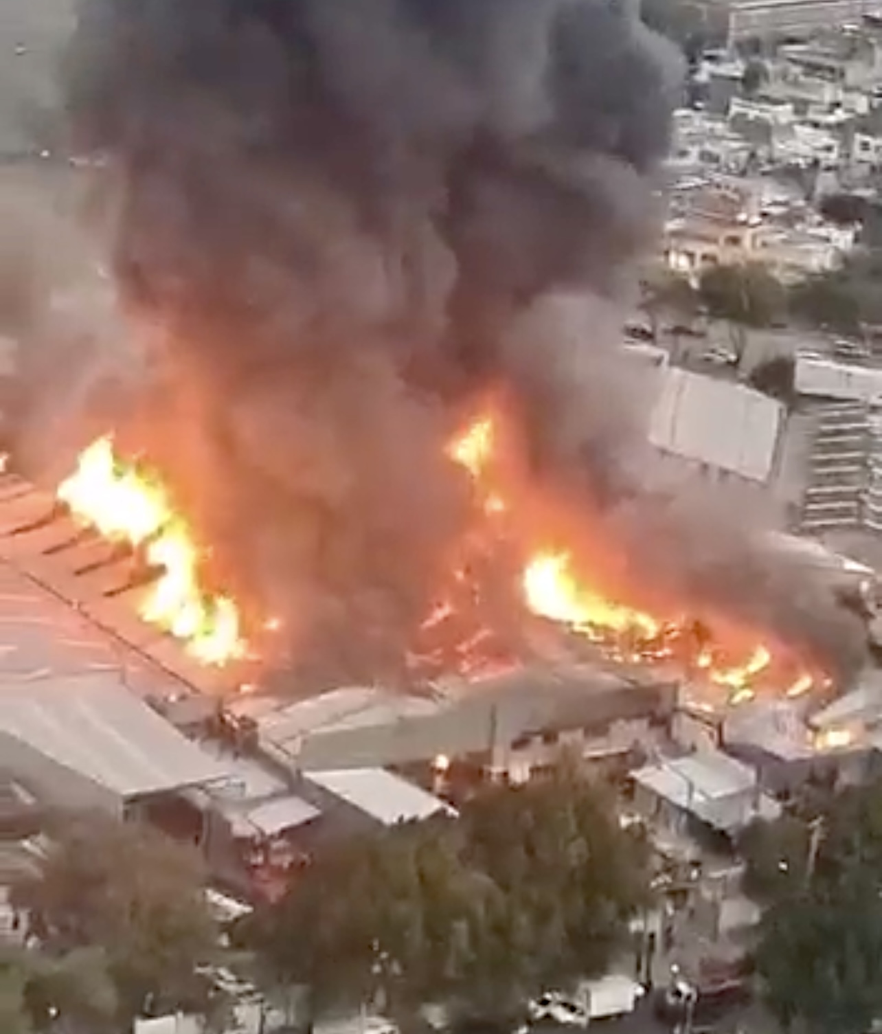 64C8233B-C5E1-4C7F-B56F-85A852D3BC87