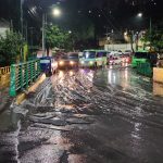 IMG_1251