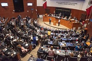 IMG_1309